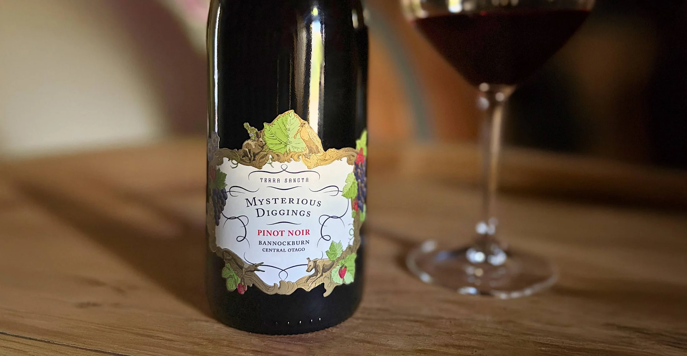 Exquisite Wines From Global Vineyards